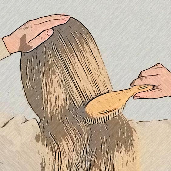Hårbørster og kamme