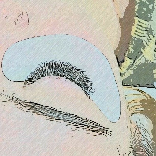 Øjenformater